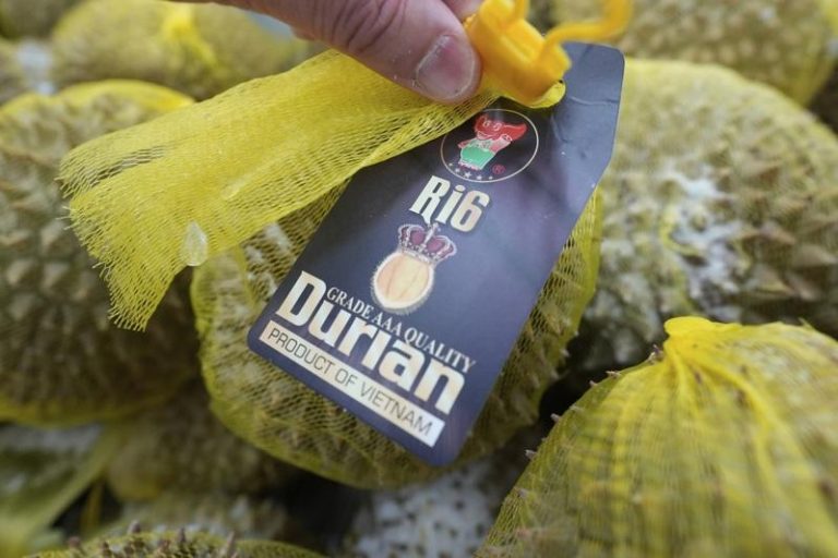 受到中国加强检疫的影响，越南榴梿今年前5个月的出口额大幅下滑58%。美联社