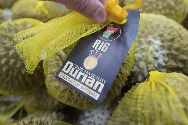 受到中国加强检疫的影响,越南榴梿今年前5个月的出口额大幅下滑58%。美联社