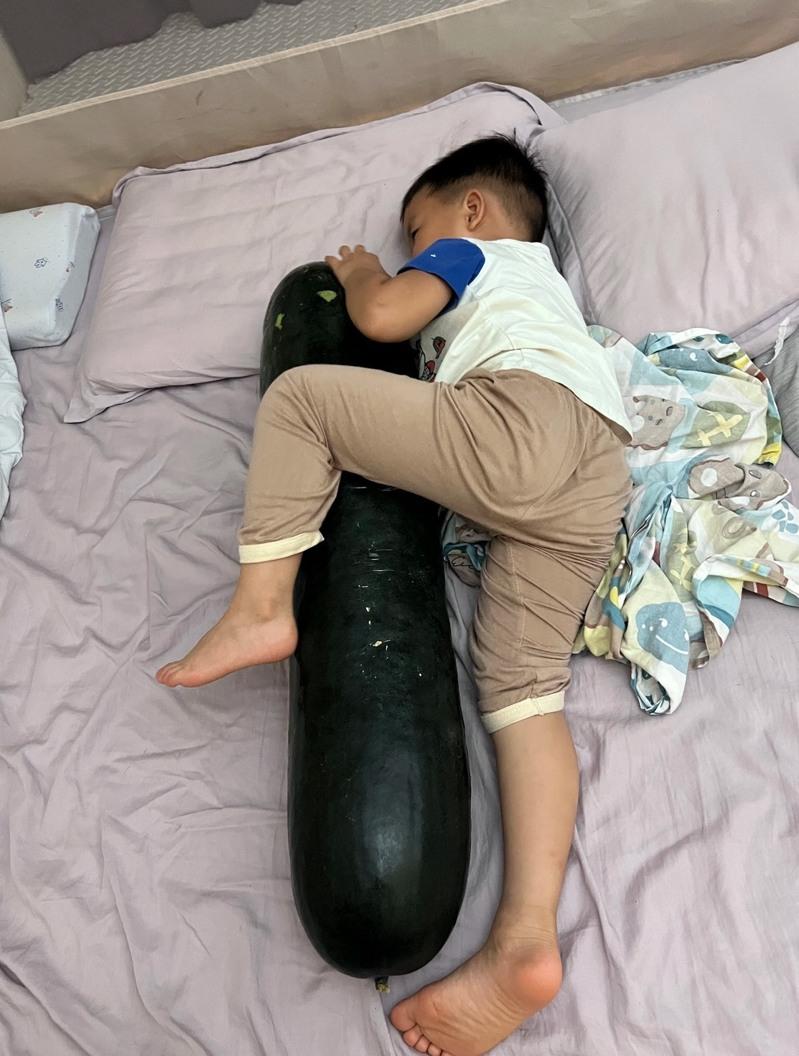 网民晒出小朋友抱冬瓜睡觉照片。(取材自小红书)