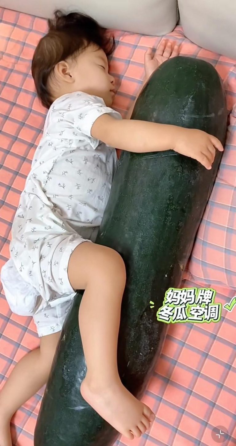 网民晒出小朋友抱冬瓜睡觉照片。(取材自小红书)
