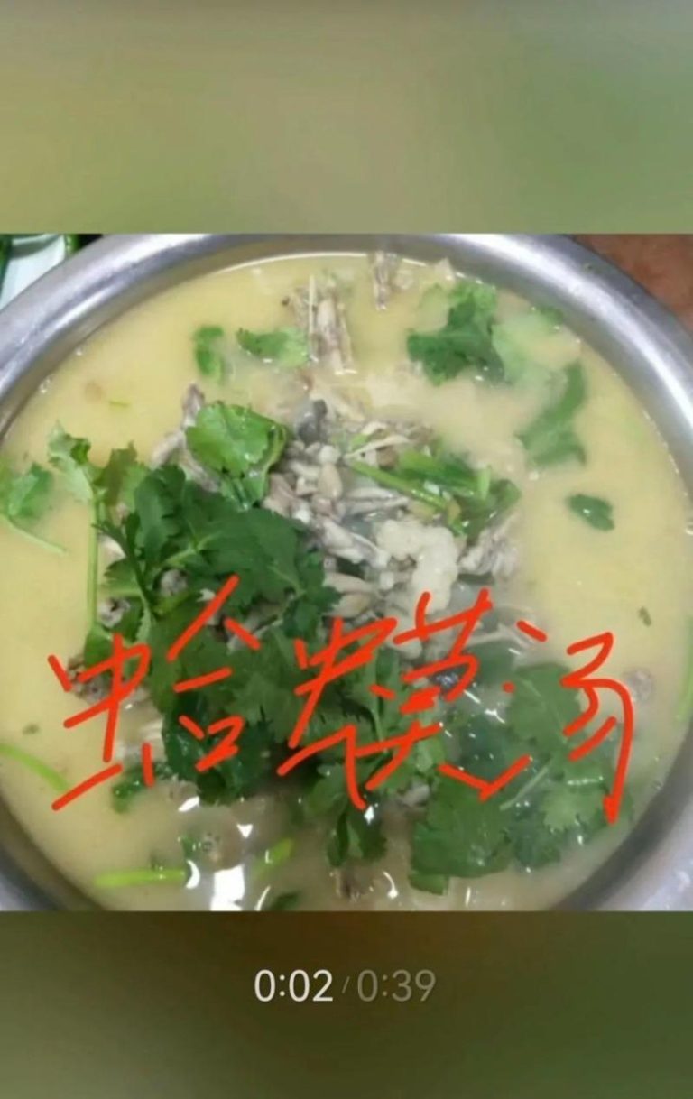 张女士因为一则蛤蟆汤的视频被罚45万元人民币。(取材自大河报)
