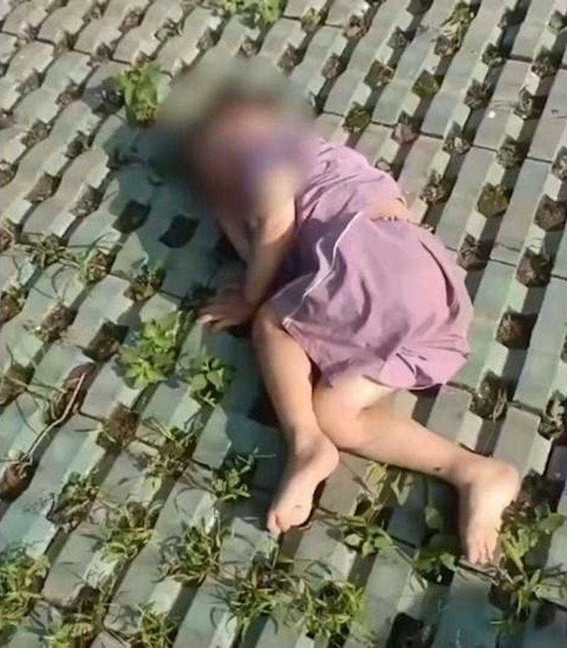 杭州一名3岁男童从住家18楼坠落后被楼下树枝挡住缓冲后才掉在地面。(取材自新京报)