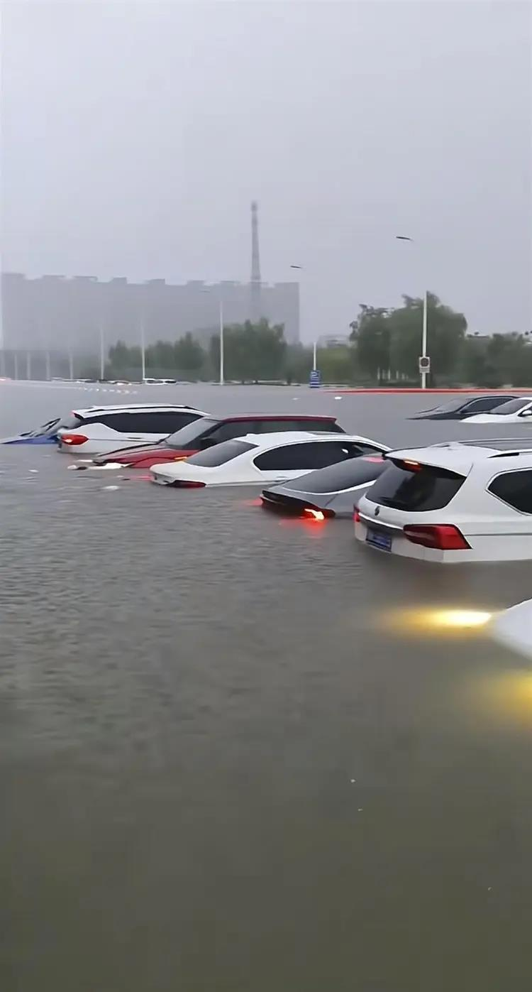 河北涿州突降暴雨道路积水快没过车窗,居民称「开车像开船」。(取材自极目新闻)