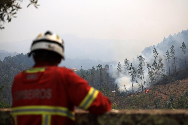 葡萄牙各地多地发生森林大火,包括14名消防员在内约20人受轻伤接受治疗。(欧新社)