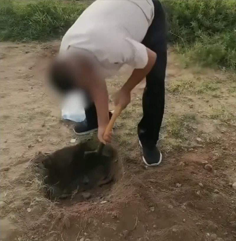 乌兰哈达火山群。（澎湃新闻／视觉中国图）