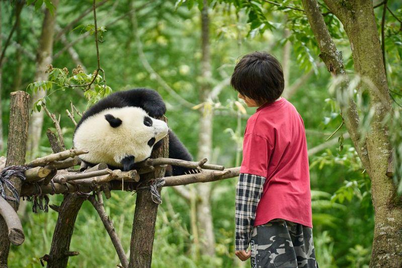 刘诺一(左)和张艾嘉在「熊猫月宝」饰演祖孙。（图／壹壹喜喜提供）