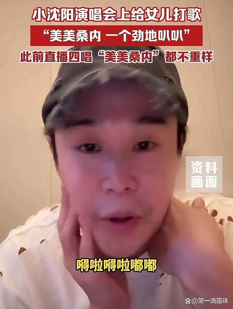 小沈阳演唱会的神秘嘉宾，竟然是自己女儿沈佳润。（取材自微博）