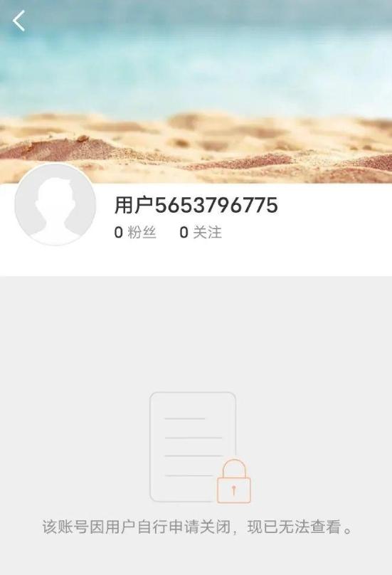 赵露思微博已搜索不到。（取材自微博）