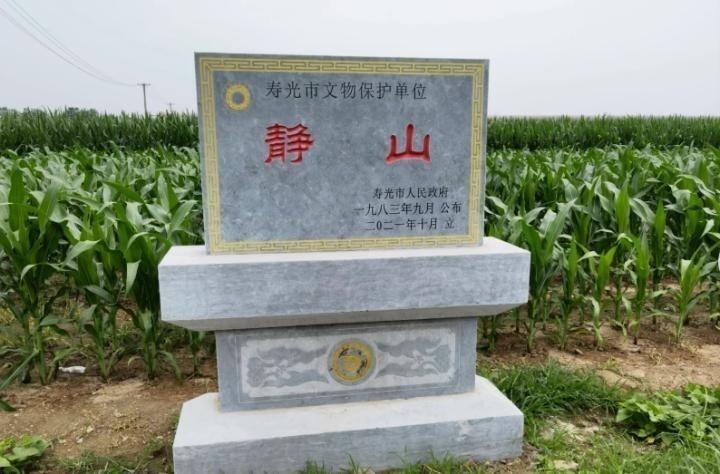 静山位于孙家集街道一块田里。（取材自极目新闻）