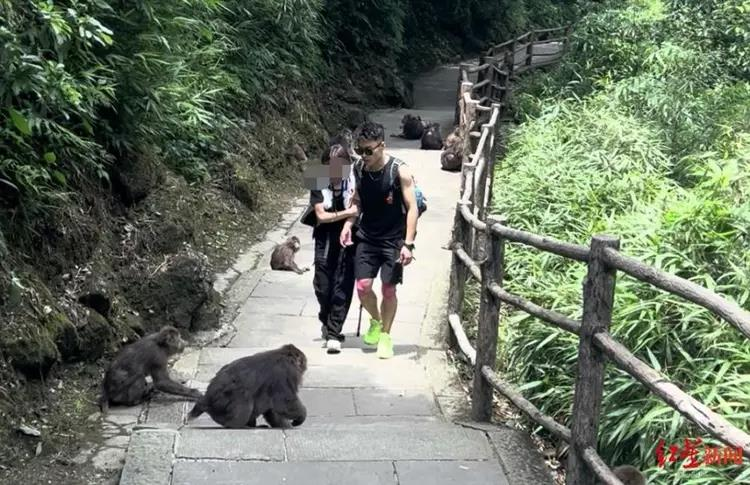 「公主抱」爬山。(视频截屏)