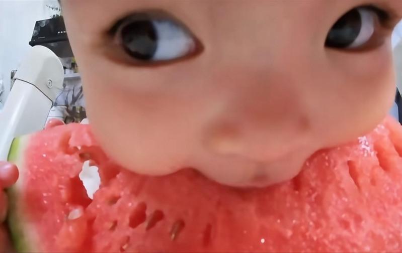 梦梦的「蚊子视角」。(取材自读特新闻／受访者供图)