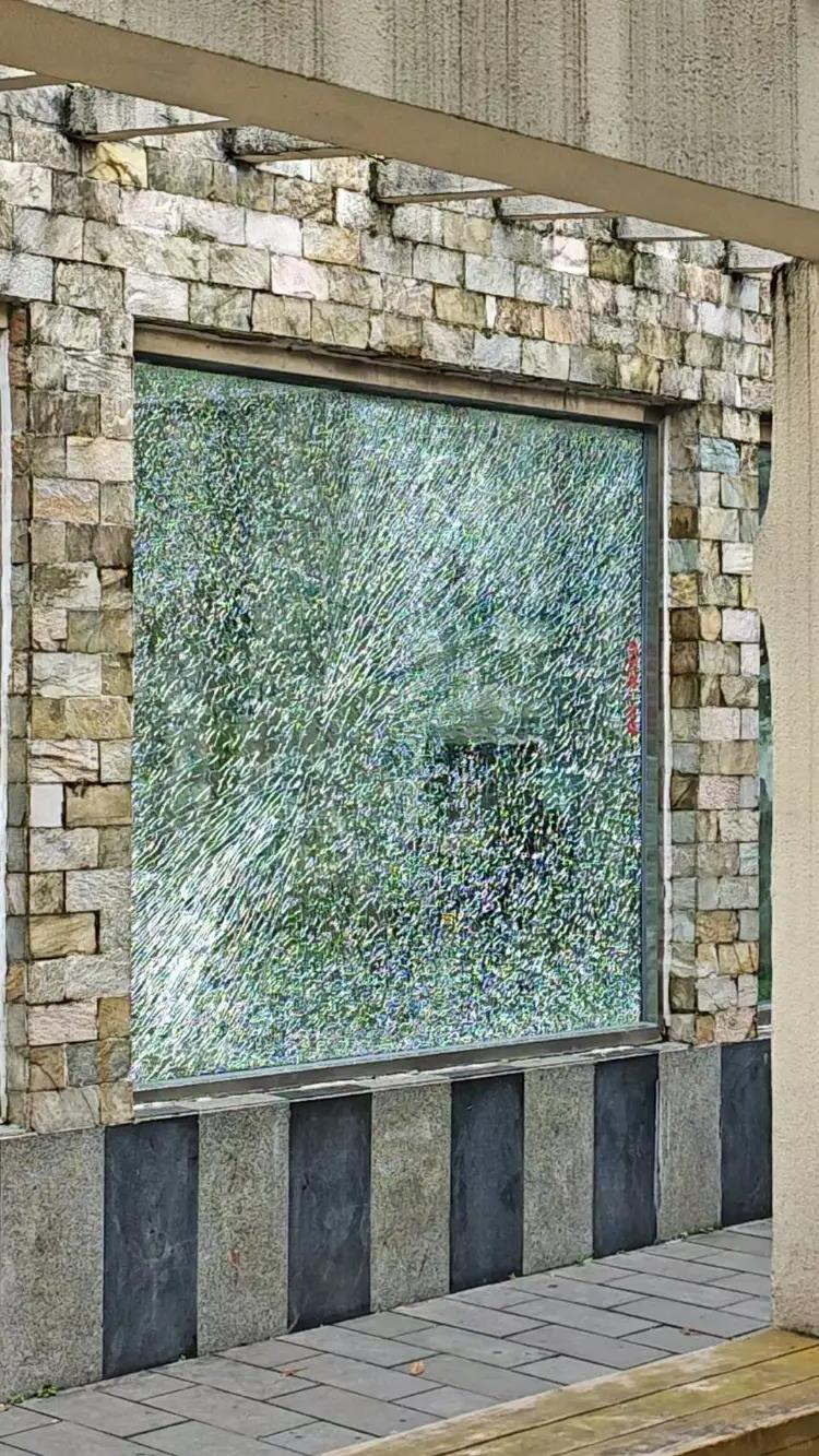 成都动物园山魈用石头砸碎馆舍玻璃。(取材自上游新闻)