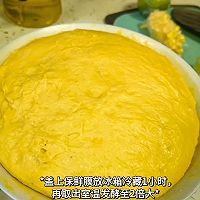 南瓜蔓越莓牛角包的做法图解10