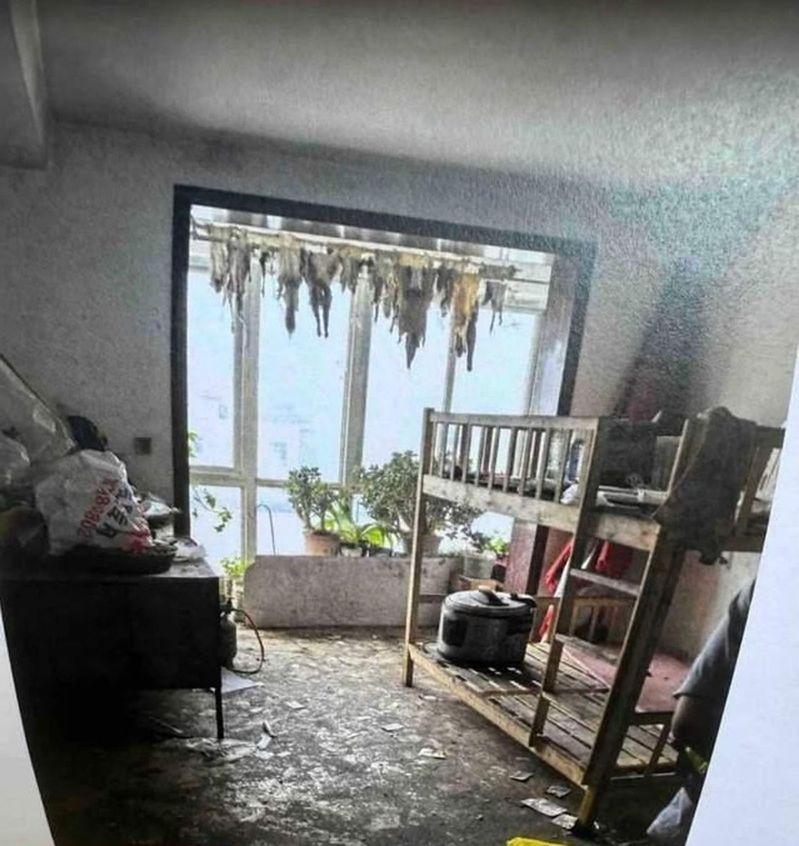 阳台的衣架上还挂着两排狗皮。(取材自华商报)