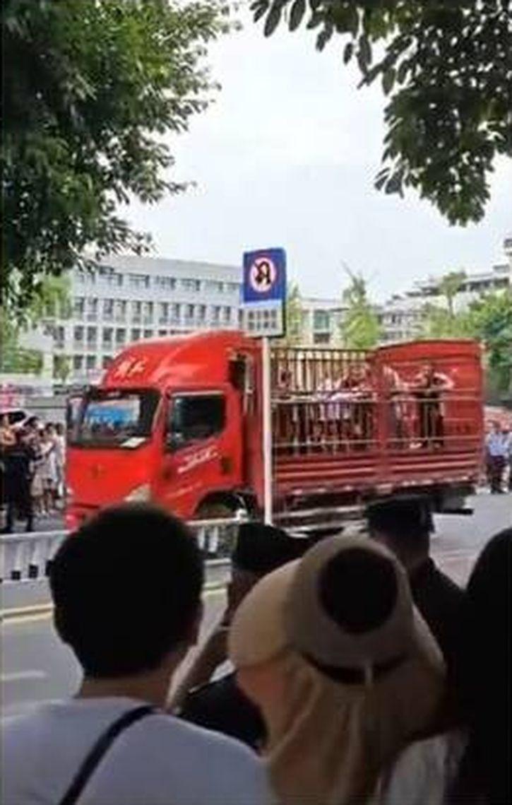 大批江油市民被警方暴力抓捕,甚至送上运猪车。(取材自李老师不是你老师X平台)