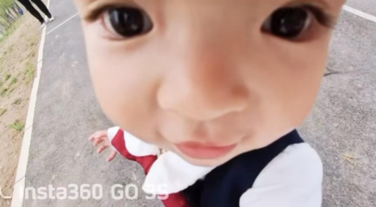 梦梦的「蚊子视角」。(取材自读特新闻／受访者供图)