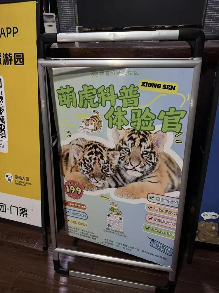 冯女士的女儿和小老虎。（取材自极目新闻）