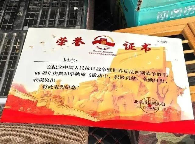 8万羽和平鸽展翅高飞。（取材自大风新闻）