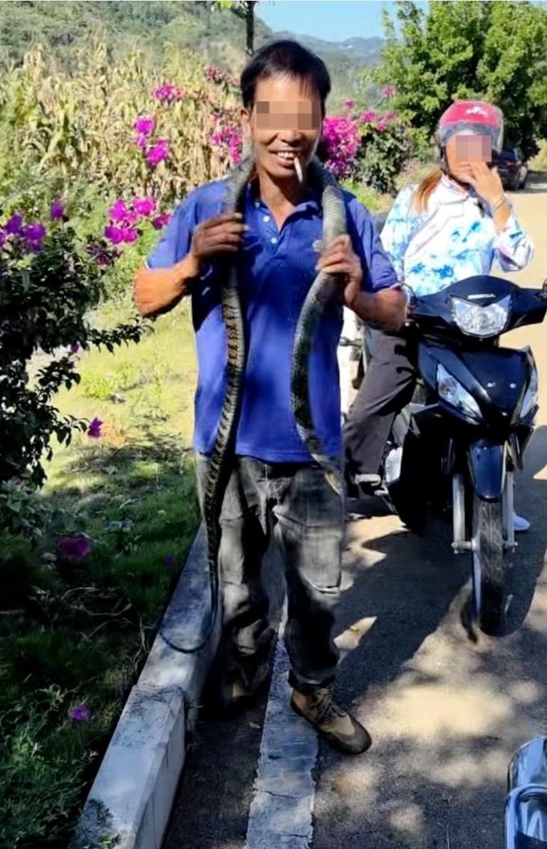 男子将眼镜王蛇挂脖玩耍。（视频截屏）