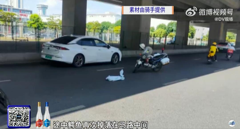 鳄鱼半路「复活」后挣扎掉在了地上。(取材自DV现场／受访者提供)