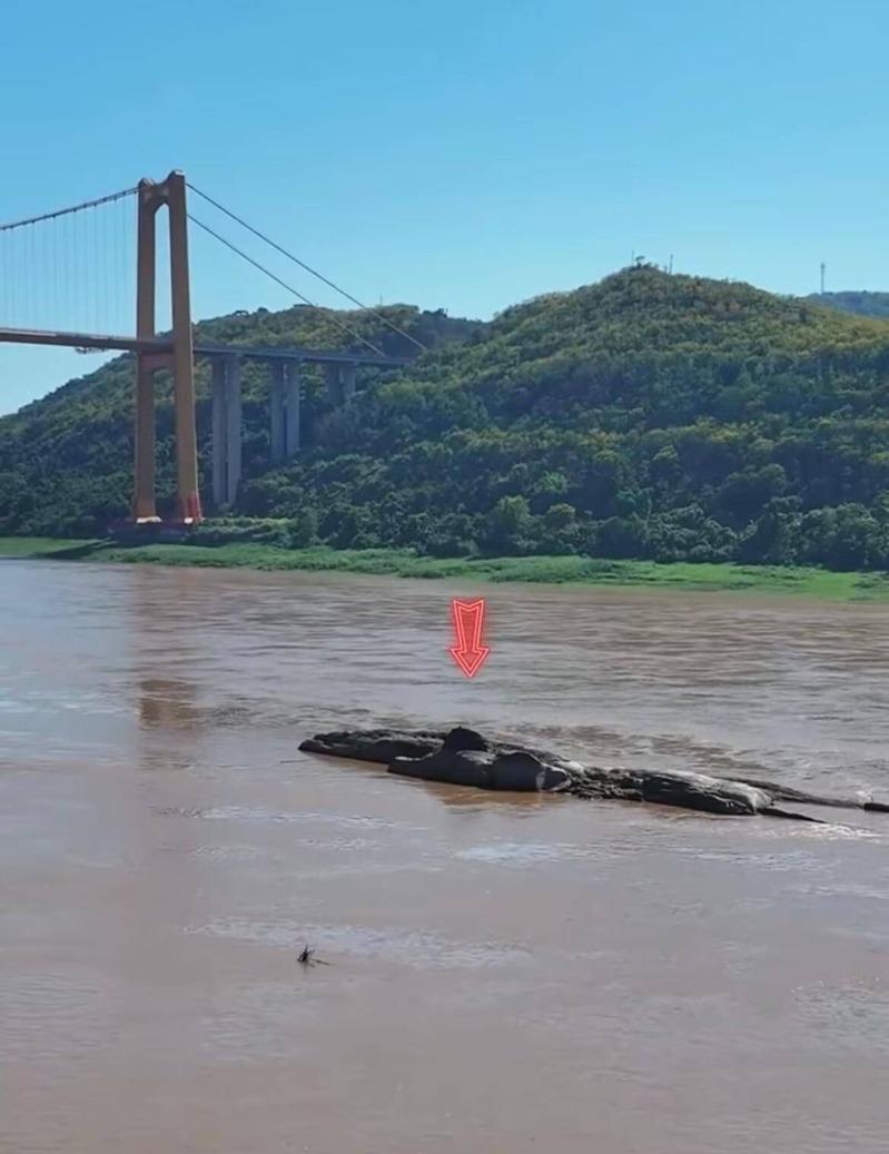 长江重庆段水位下降露出600年历史石佛。（取材自极目新闻）
