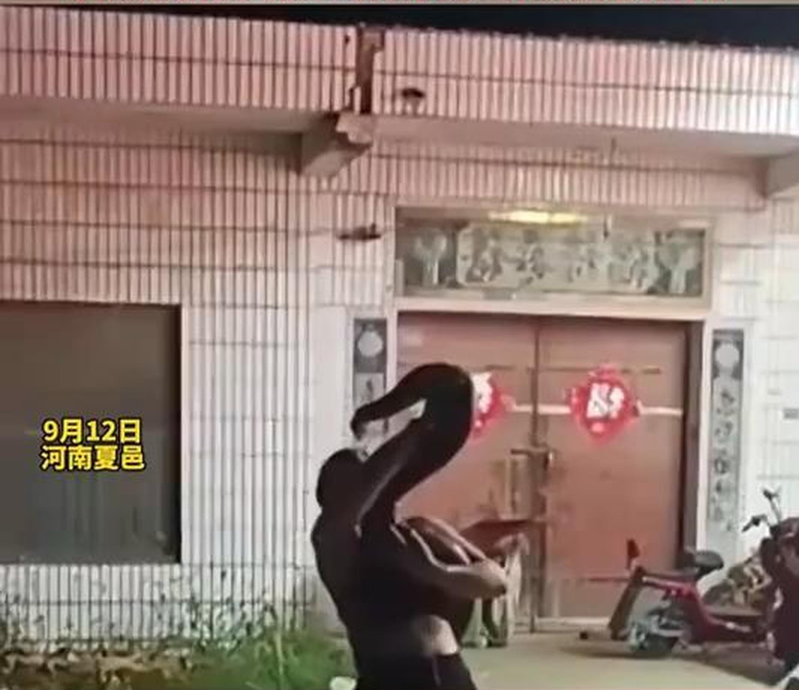 蟒蛇突然咬住女子脸部，怎么都甩不开。（视频截屏）