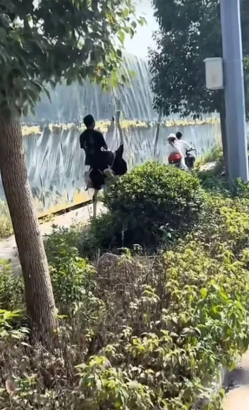云南男子骑鸵鸟上路。（取材自潇湘晨报）