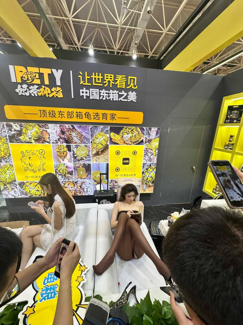 网友分享「世界名龟展」上的「清凉」画面。（视频截屏）