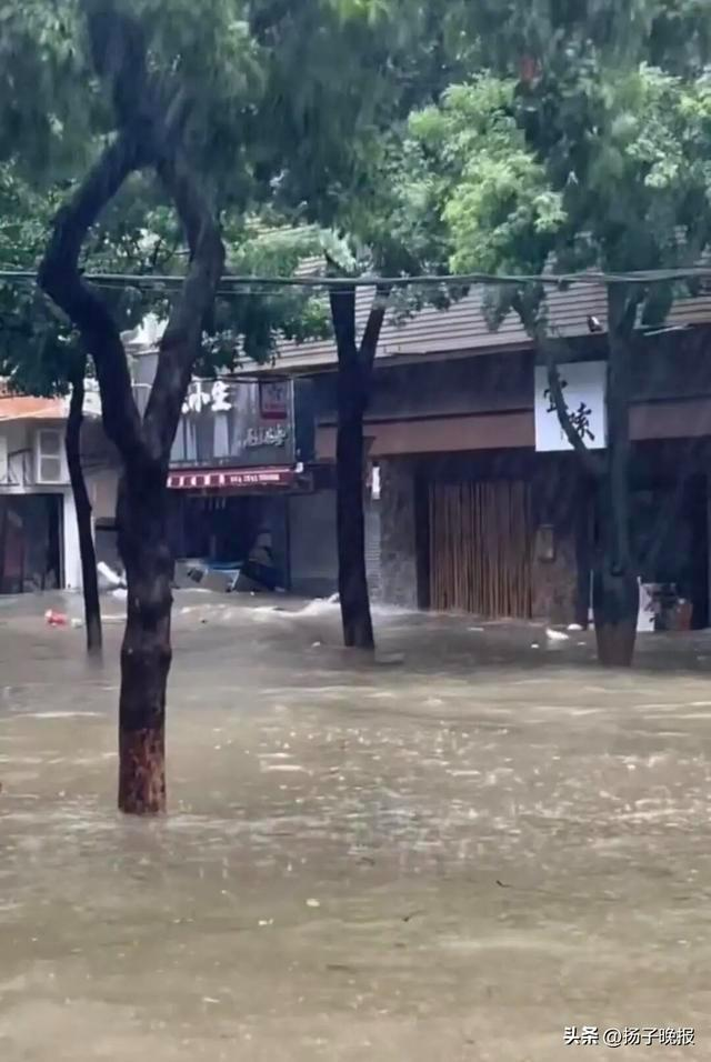 一名珠海司机在积水路线多次往返行驶，激起浪花。(视频截屏)