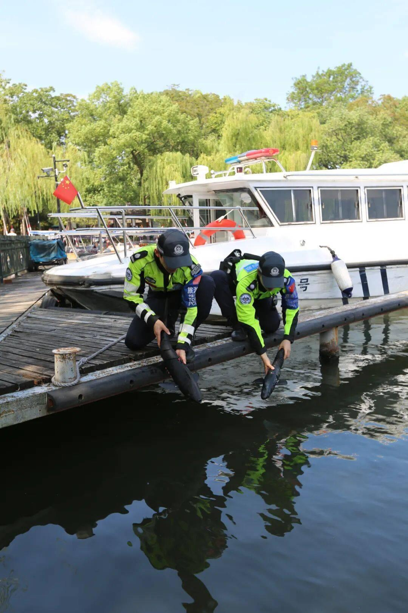 西湖发现「沙鱼」？而且还不止一条。（取材自浙江之声）