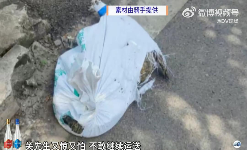鳄鱼半路「复活」后挣扎掉在了地上。(取材自DV现场/受访者提供)