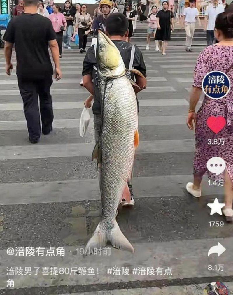 男子钓79斤大鱼背上街显摆。（视频截屏）