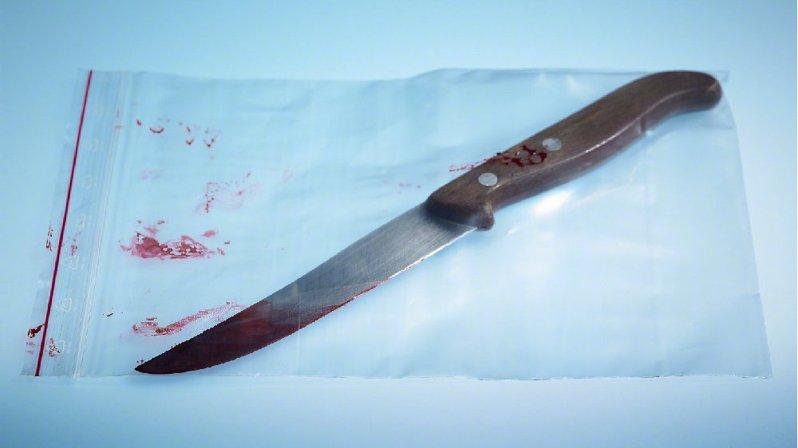 嫂子刘女拿刀捅死了上门要债的小叔苏某。（取材自红星新闻）