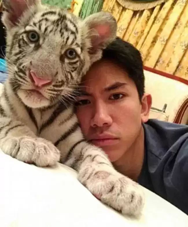 亚洲最帅王子火出圈，颜值高会开飞机会马球，混血妻子银纱裙奢华