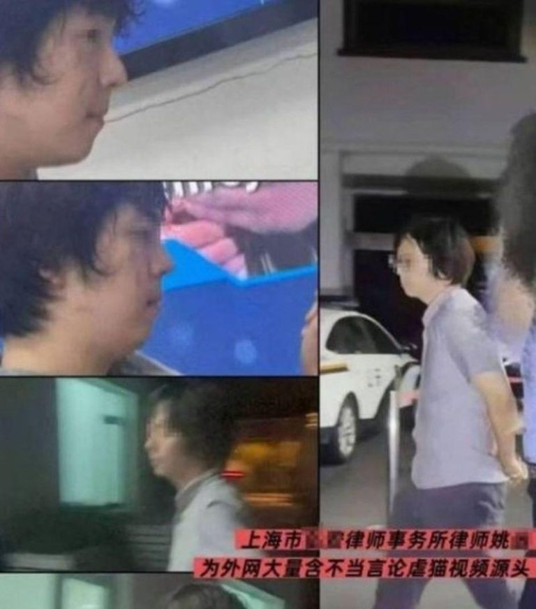 姚姓律师准备拍摄虐猫影片时被附近民众目睹并公布影片。（视频截屏）