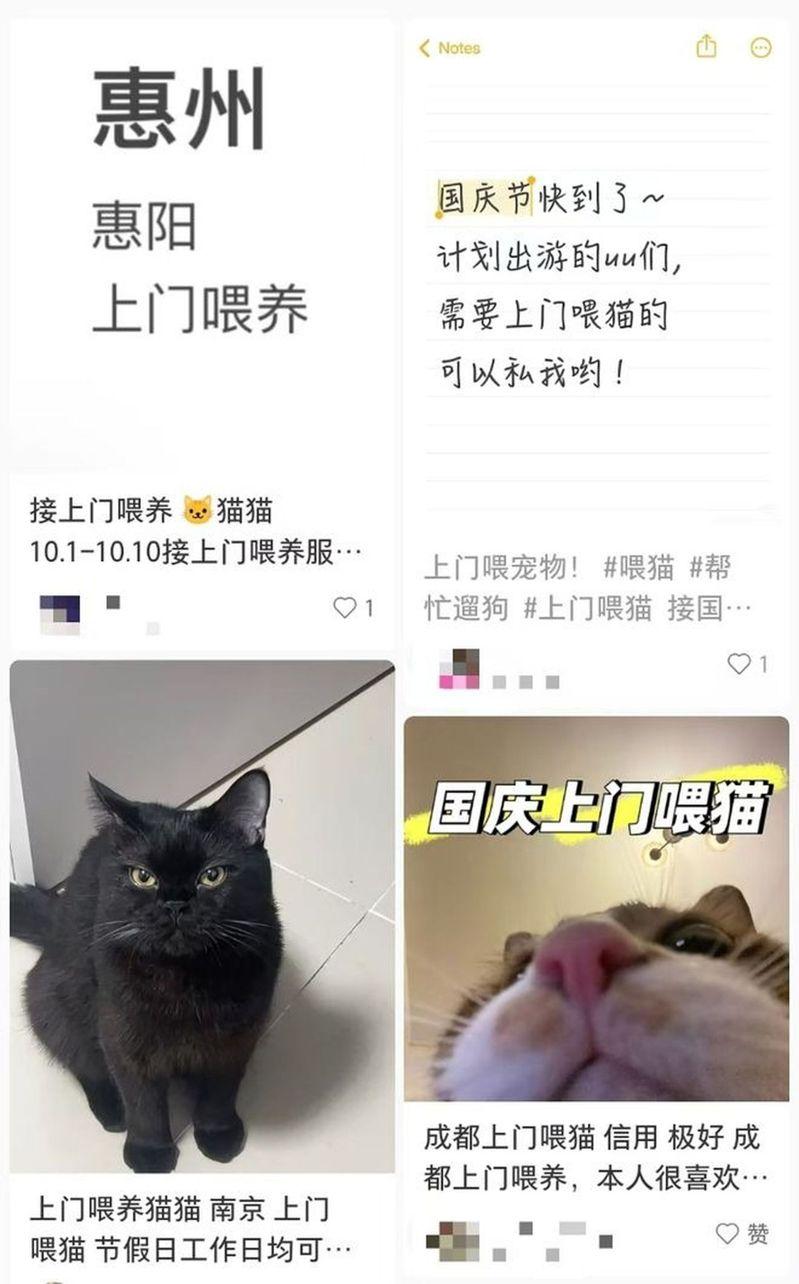 社群平台上有不少接十一期间上门喂宠物业务的贴文。(取材自上游新闻)