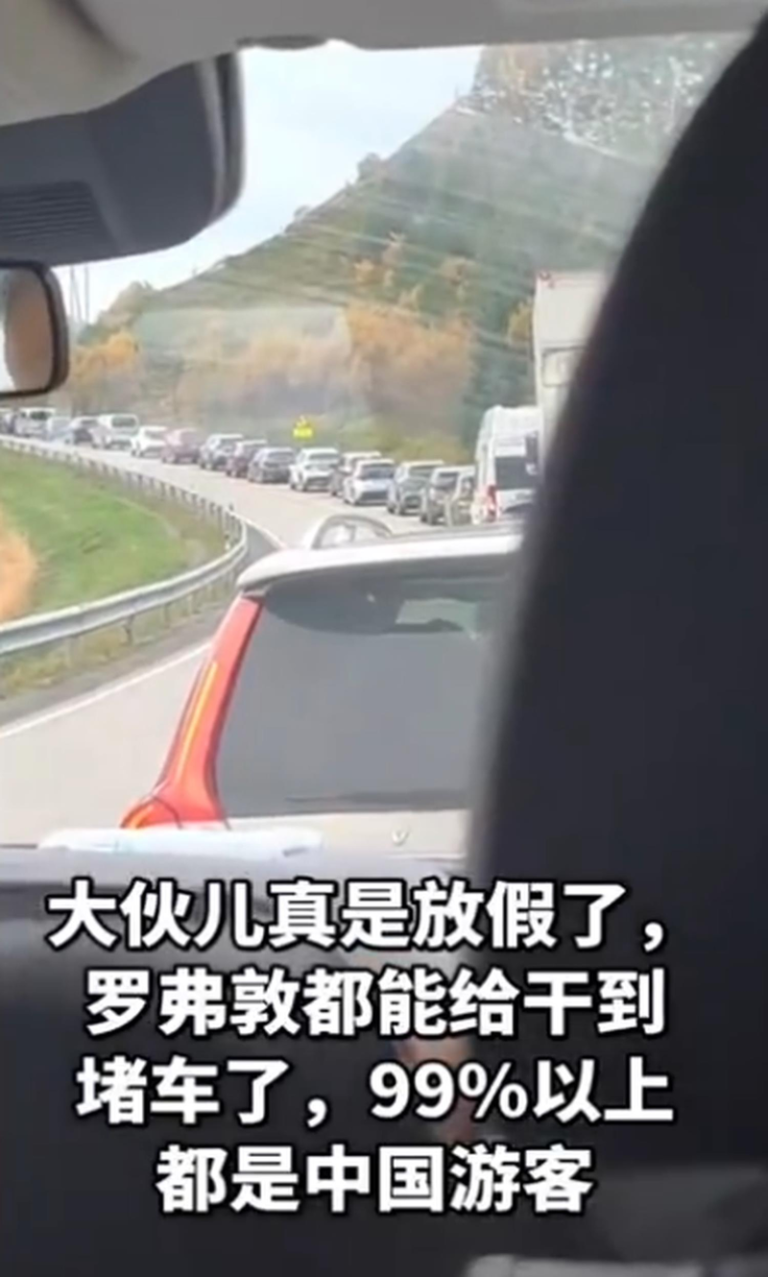 挪威罗弗敦群岛因中国游客过多堵车。(视频截屏)