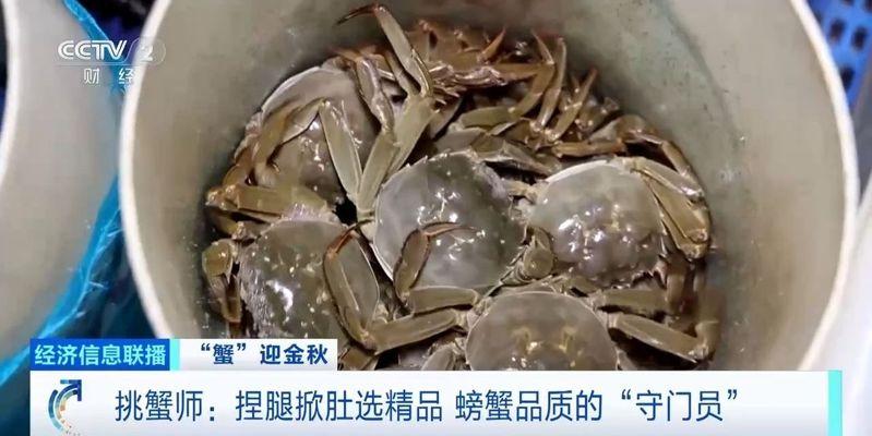 挑蟹师不光会挑还会看,螃蟹容易死,怎么预防很重要。(视频截屏)