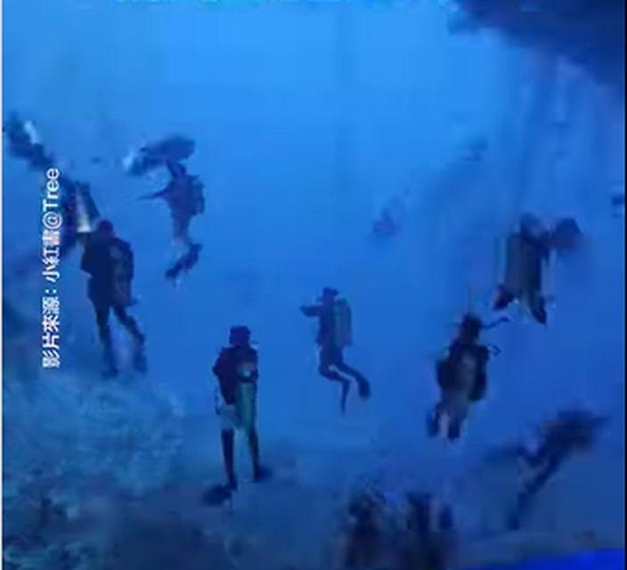中国游客连假远赴东非草原看牛羚迁徙，结果困在自己人的「车流大迁徙」中。(取材自微博)