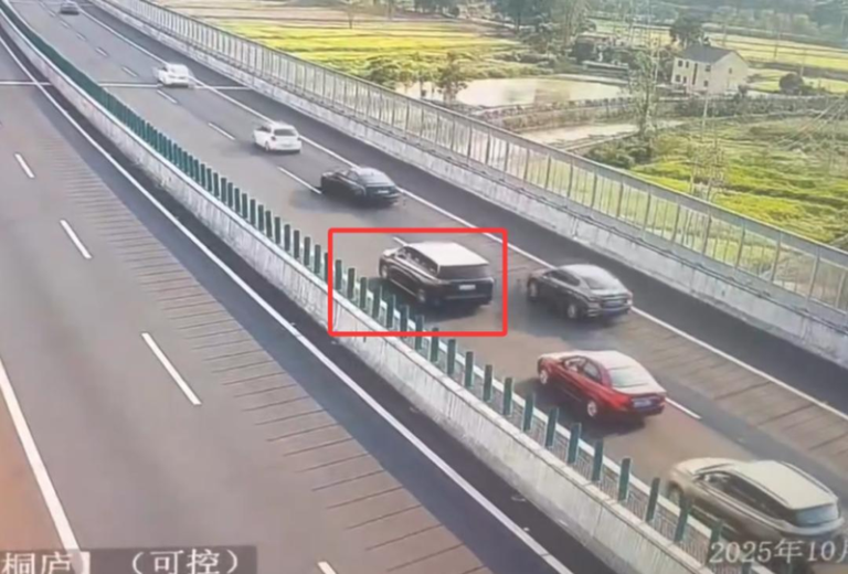 车主睡着，突然停下的「无人驾驶」小车。（取材自潮新闻／八大队供图）