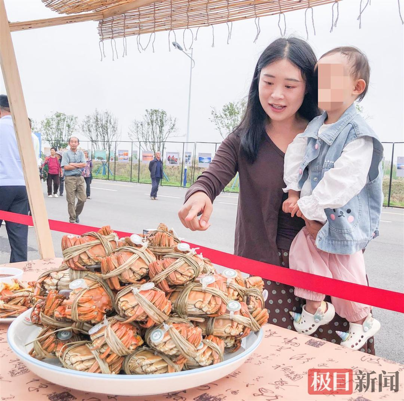 陆逊湖的大闸蟹。(取材自极目新闻)