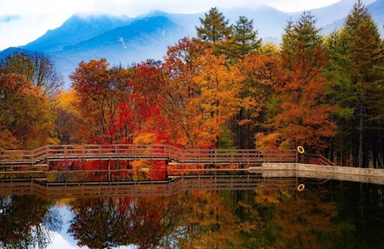 老边沟风景区禁止游客捡枫叶。（取材自文旅本溪）