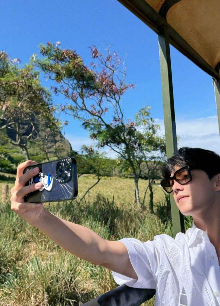 杨洋手机壳的裂痕一天比一天严重。（取材自微博）