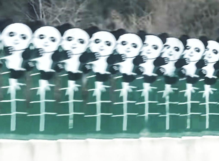 四川某段高速惊见「骷髅大军」 驾驶:吓出一身冷汗 四川九绵高速防眩板上的一长排熊猫图案,近日被驾驶形容高速经过时看来很 「鬼畜」。(取材自极目新闻)