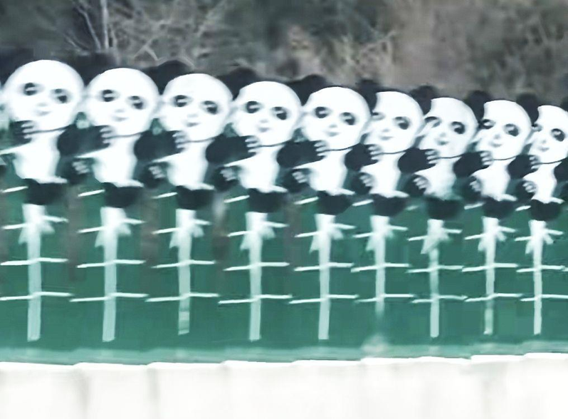 四川九绵高速防眩板上的一长排熊猫图案,近日被驾驶形容高速经过时看来很 「鬼畜」。(取材自极目新闻)