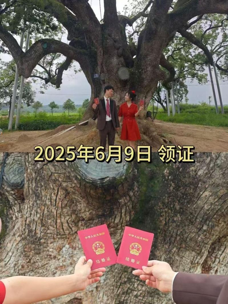 钟先生和李女士今年10月在家乡举行婚礼。(取材自潇湘晨报)
