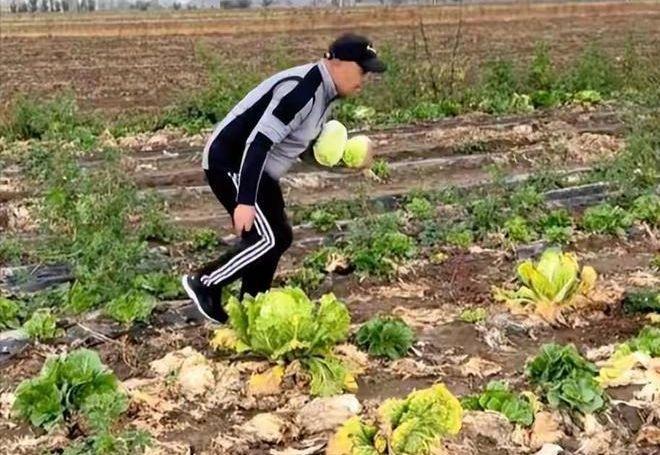 这些蔬菜是农民觉得品相差没法在出售的「边角料」。(视频截屏)