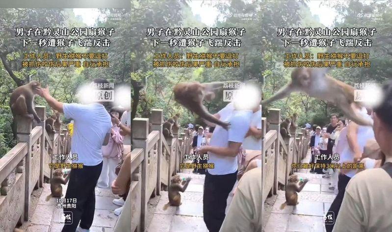 贵阳黔灵山公园发生「人猴大战」。（视频截屏）