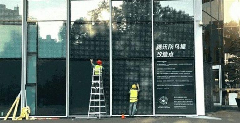 候鸟迁徙季 北京现壮观「鸟浪」 鸟类学专家释疑 腾讯大楼一、二层在2023年穿上「白色波点外衣」,以防止鸟撞击。(取材自快科技)