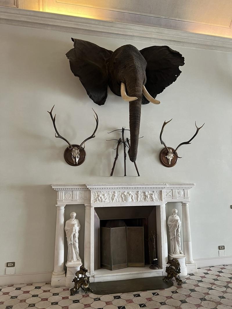 位在罗马近郊的「波奇亚诺城堡庄园」是意大利总统的官邸之一，面积广达60平方公里。(中央社)